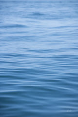 Dancing Sea III by Deborah Revell. SKU 102766h. Archival Giclee Fine art print for wall decor.