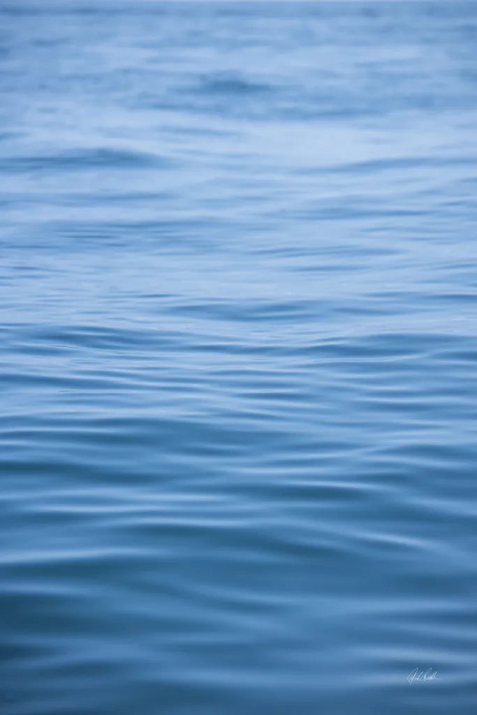 Dancing Sea III by Deborah Revell. SKU 102766h. Archival Giclee Fine art print for wall decor.