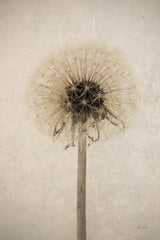 Dandelion by Deborah Revell. SKU 98515h. Archival Giclee Fine art print for wall decor.