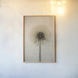 Dandelion by Deborah Revell. shown as a paper print in a natural frame. Available as a archival giclee rolled canvas, fine art paper, or poster print. SKU 98515h.