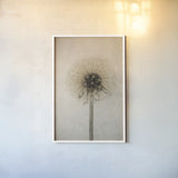 Dandelion by Deborah Revell. shown as a paper print in a white frame. Available as a archival giclee rolled canvas, fine art paper, or poster print. SKU 98515h.