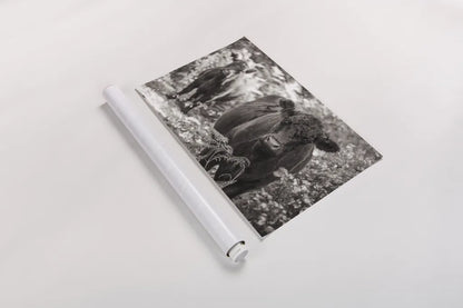 Dartmoor Cattle  by Deborah Revell. shown as a rolled paper print. Available as archival giclee rolled canvas, fine art paper, or poster print. SKU 94284i.