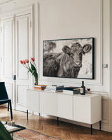 Dartmoor Cow by Deborah Revell. shown as a framed stretched canvas in a living room above a console. Available as a archival giclee rolled canvas, fine art paper, or poster print. SKU 94285i.