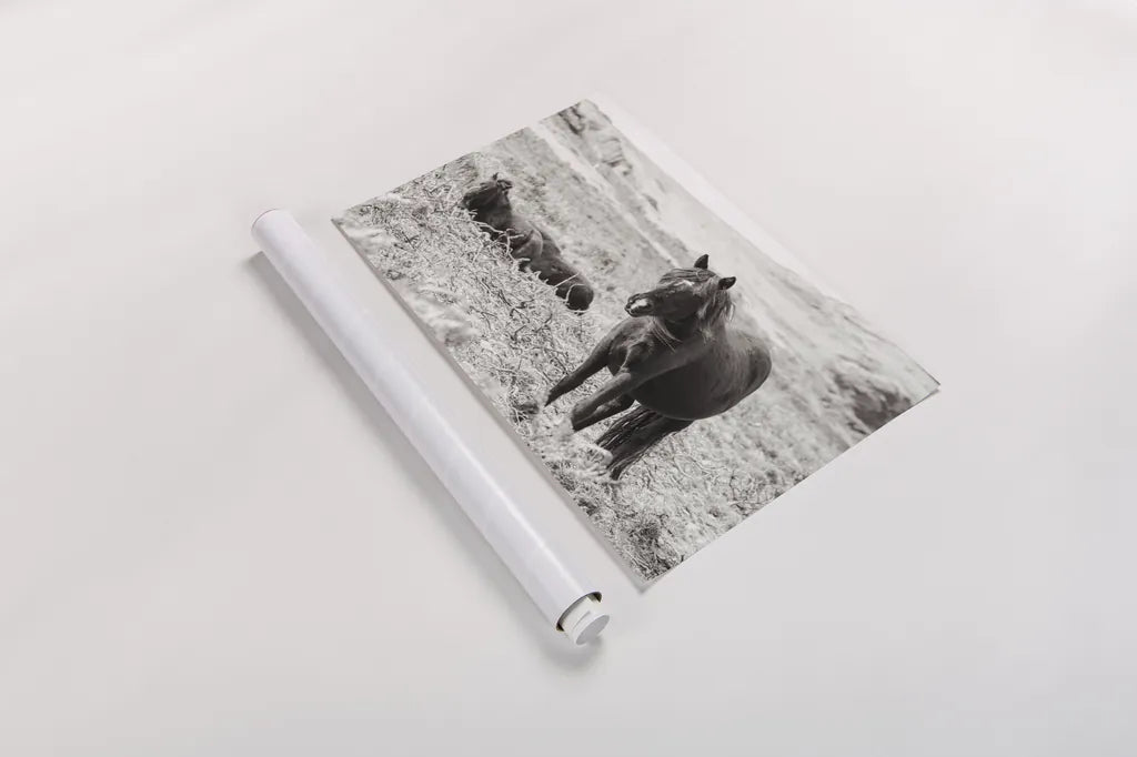 Dartmoor Ponies I by Deborah Revell. shown as a rolled paper print. Available as archival giclee rolled canvas, fine art paper, or poster print. SKU 94277i.