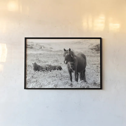 Dartmoor Ponies I by Deborah Revell. shown as a paper print in a black flame. Available as a archival giclee rolled canvas, fine art paper, or poster print. SKU 94277i.