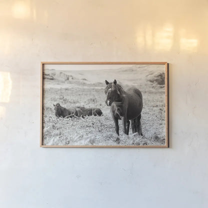 Dartmoor Ponies I by Deborah Revell. shown as a paper print in a natural frame. Available as a archival giclee rolled canvas, fine art paper, or poster print. SKU 94277i.