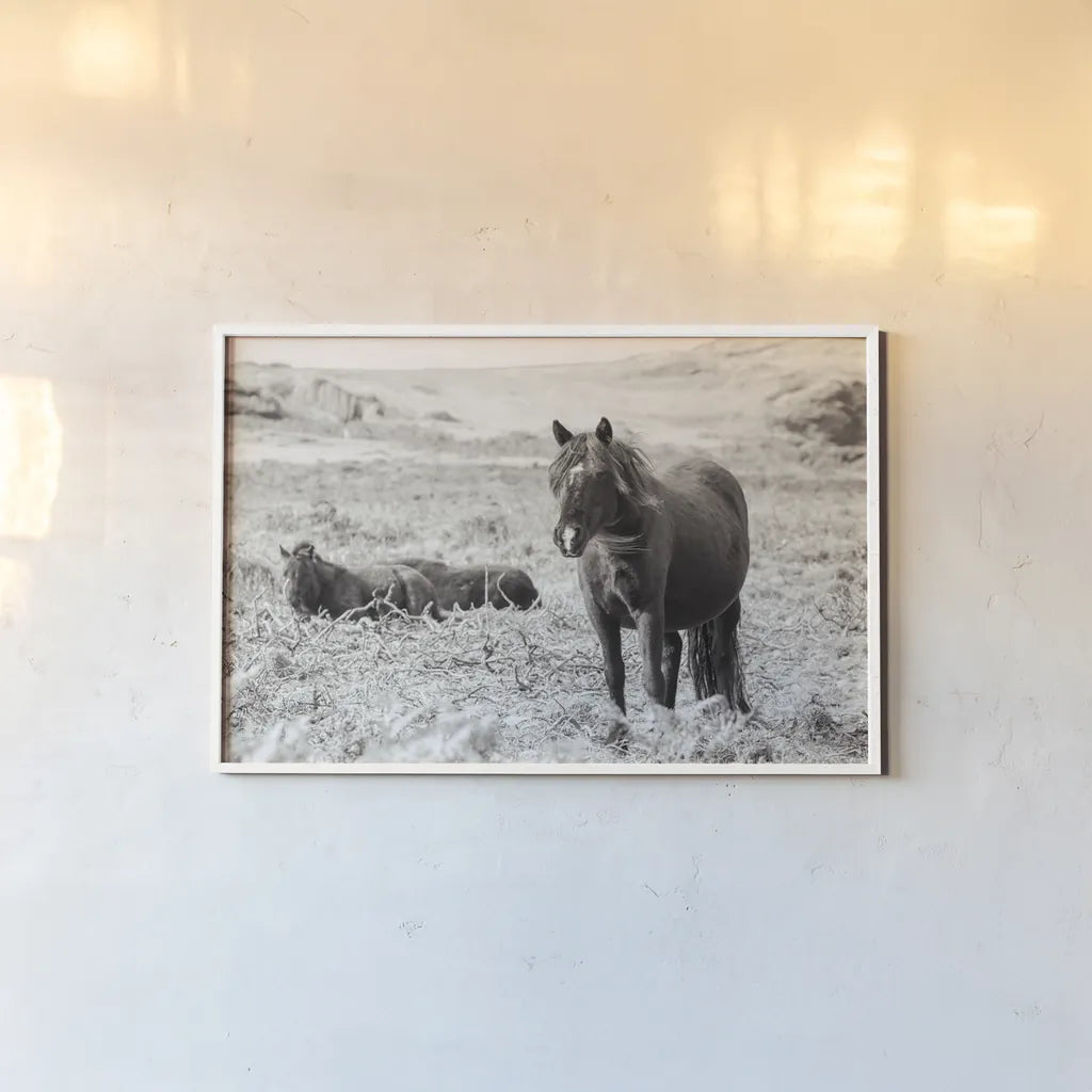 Dartmoor Ponies I by Deborah Revell. shown as a paper print in a white frame. Available as a archival giclee rolled canvas, fine art paper, or poster print. SKU 94277i.