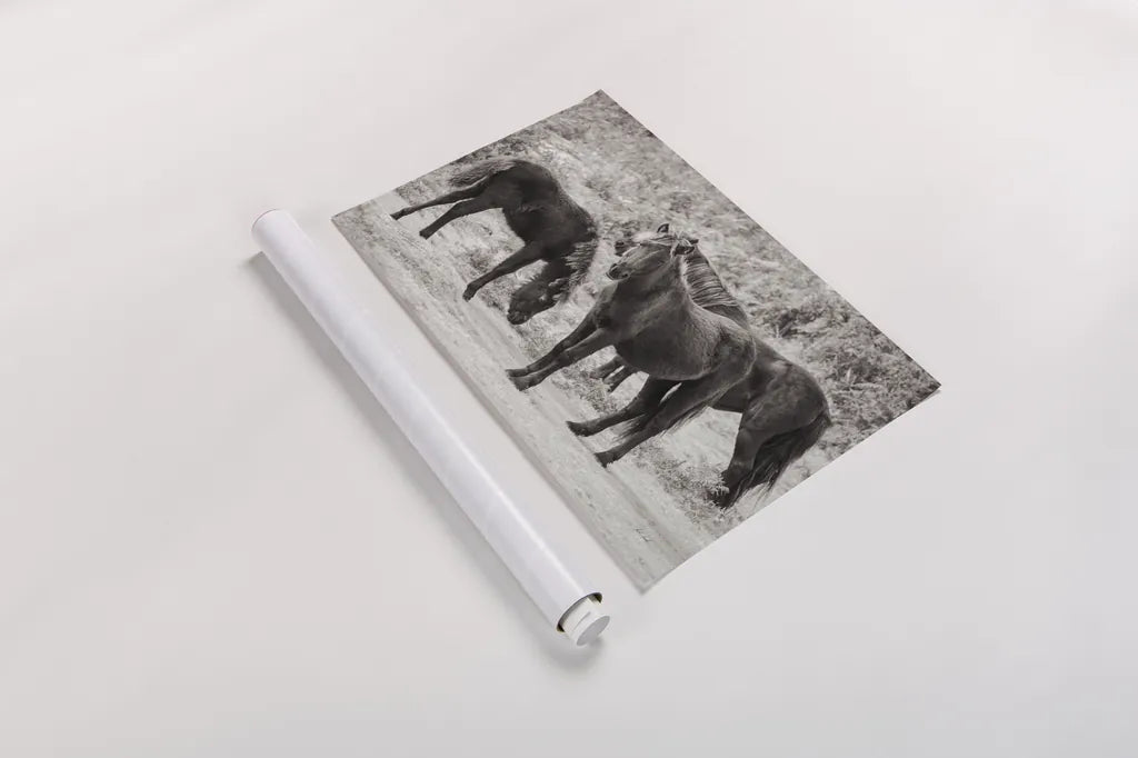 Dartmoor Ponies II by Deborah Revell. shown as a rolled paper print. Available as archival giclee rolled canvas, fine art paper, or poster print. SKU 94278i.