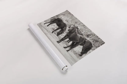 Dartmoor Ponies II by Deborah Revell. shown as a rolled paper print. Available as archival giclee rolled canvas, fine art paper, or poster print. SKU 94278i.