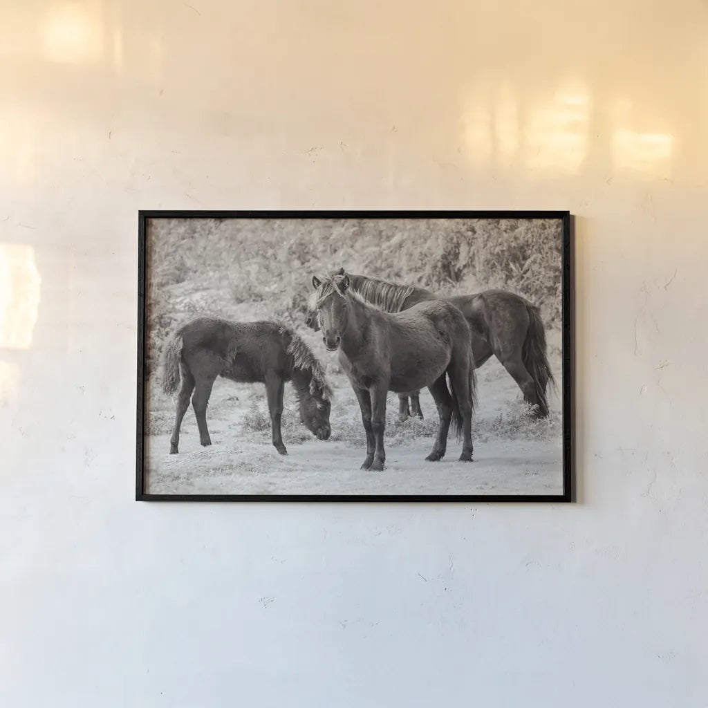 Dartmoor Ponies II by Deborah Revell. shown as a paper print in a black flame. Available as a archival giclee rolled canvas, fine art paper, or poster print. SKU 94278i.