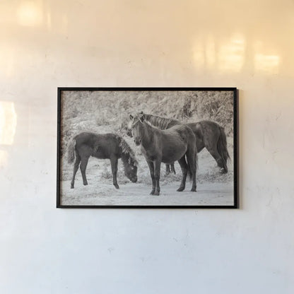 Dartmoor Ponies II by Deborah Revell. shown as a paper print in a black flame. Available as a archival giclee rolled canvas, fine art paper, or poster print. SKU 94278i.