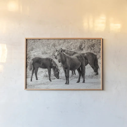 Dartmoor Ponies II by Deborah Revell. shown as a paper print in a natural frame. Available as a archival giclee rolled canvas, fine art paper, or poster print. SKU 94278i.