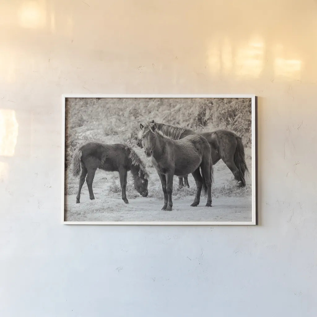 Dartmoor Ponies II by Deborah Revell. shown as a paper print in a white frame. Available as a archival giclee rolled canvas, fine art paper, or poster print. SKU 94278i.