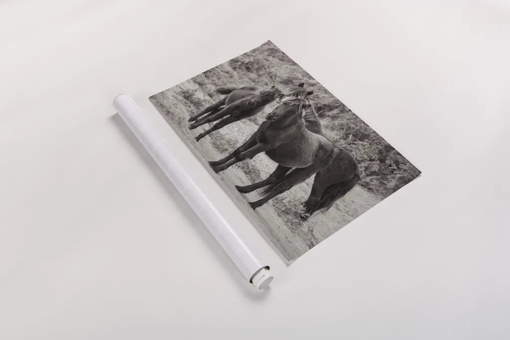 Dartmoor Ponies III by Deborah Revell. shown as a rolled paper print. Available as archival giclee rolled canvas, fine art paper, or poster print. SKU 94279i.