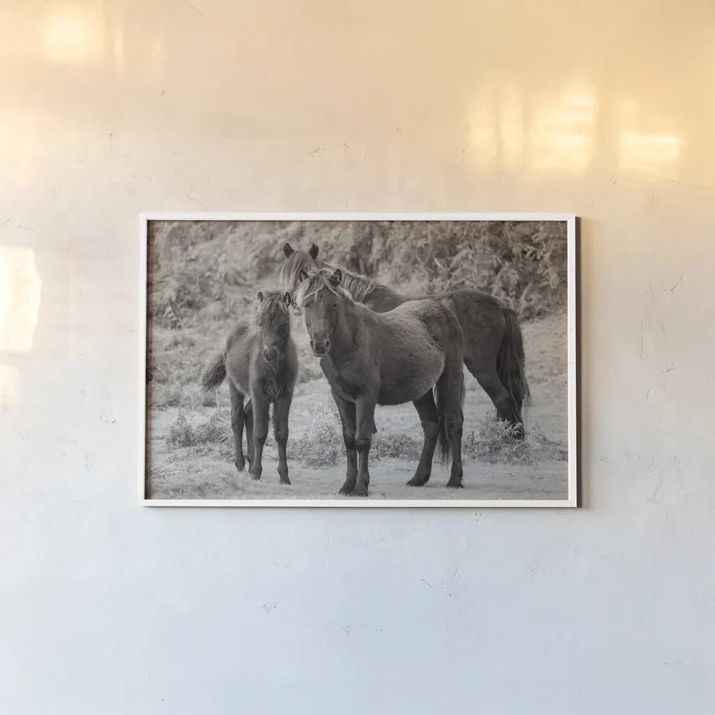 Dartmoor Ponies III by Deborah Revell. shown as a paper print in a white frame. Available as a archival giclee rolled canvas, fine art paper, or poster print. SKU 94279i.