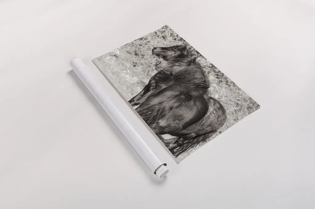 Dartmoor Ponies IV by Deborah Revell. shown as a rolled paper print. Available as archival giclee rolled canvas, fine art paper, or poster print. SKU 94280i.