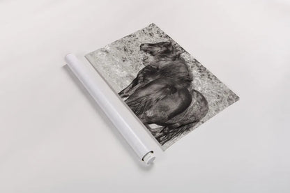 Dartmoor Ponies IV by Deborah Revell. shown as a rolled paper print. Available as archival giclee rolled canvas, fine art paper, or poster print. SKU 94280i.