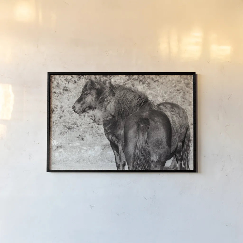 Dartmoor Ponies IV by Deborah Revell. shown as a paper print in a black flame. Available as a archival giclee rolled canvas, fine art paper, or poster print. SKU 94280i.