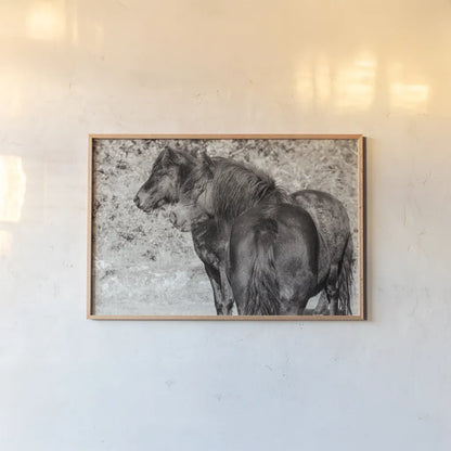 Dartmoor Ponies IV by Deborah Revell. shown as a paper print in a natural frame. Available as a archival giclee rolled canvas, fine art paper, or poster print. SKU 94280i.