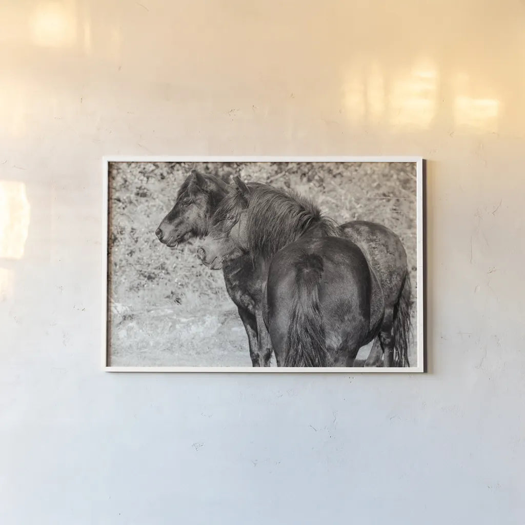 Dartmoor Ponies IV by Deborah Revell. shown as a paper print in a white frame. Available as a archival giclee rolled canvas, fine art paper, or poster print. SKU 94280i.