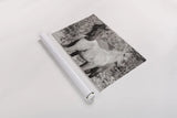 Dartmoor Ponies V by Deborah Revell. shown as a rolled paper print. Available as archival giclee rolled canvas, fine art paper, or poster print. SKU 94281i.