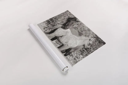 Dartmoor Ponies V by Deborah Revell. shown as a rolled paper print. Available as archival giclee rolled canvas, fine art paper, or poster print. SKU 94281i.