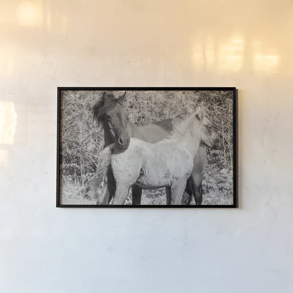 Dartmoor Ponies V by Deborah Revell. shown as a paper print in a black flame. Available as a archival giclee rolled canvas, fine art paper, or poster print. SKU 94281i.