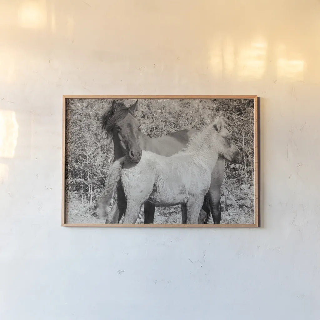 Dartmoor Ponies V by Deborah Revell. shown as a paper print in a natural frame. Available as a archival giclee rolled canvas, fine art paper, or poster print. SKU 94281i.