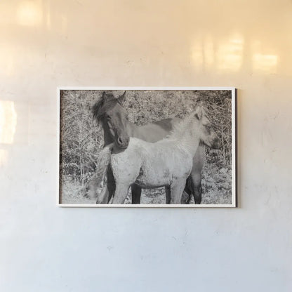 Dartmoor Ponies V by Deborah Revell. shown as a paper print in a white frame. Available as a archival giclee rolled canvas, fine art paper, or poster print. SKU 94281i.