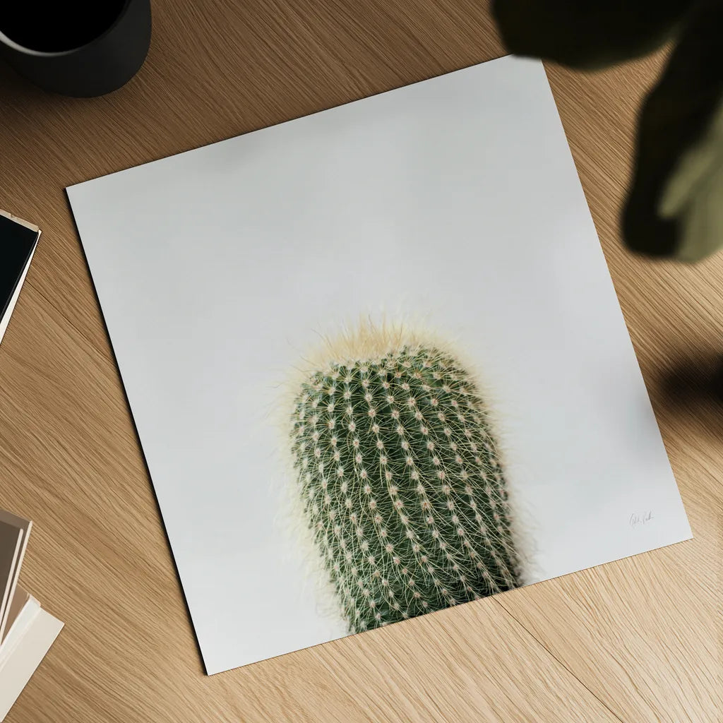 Desert Treasures I by Deborah Revell. Shown as a detailed flat fine art print, highlighting archival giclee quality. Available as an archival giclee rolled canvas, fine art paper, or poster print. SKU 94579a.