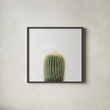 Desert Treasures I by Deborah Revell. Shown in a sleek black glass frame for a contemporary gallery look. Available as an archival giclee rolled canvas, fine art paper, or poster print. SKU 94579a.