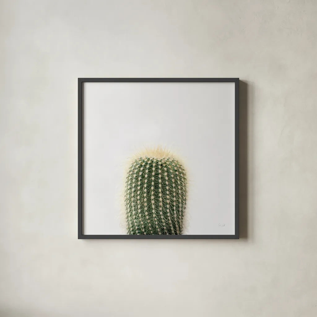 Desert Treasures I by Deborah Revell. Shown in a sleek black glass frame for a contemporary gallery look. Available as an archival giclee rolled canvas, fine art paper, or poster print. SKU 94579a.