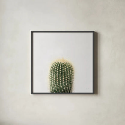 Desert Treasures I by Deborah Revell. Shown in a sleek black glass frame for a contemporary gallery look. Available as an archival giclee rolled canvas, fine art paper, or poster print. SKU 94579a.