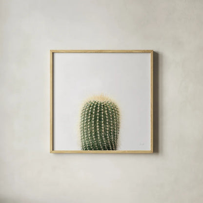 Desert Treasures I by Deborah Revell. Shown in a natural wood glass frame for a timeless modern aesthetic. Available as an archival giclee rolled canvas, fine art paper, or poster print. SKU 94579a.