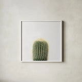 Desert Treasures I by Deborah Revell. Shown in a crisp white glass frame for a clean and minimalist style. Available as an archival giclee rolled canvas, fine art paper, or poster print. SKU 94579a.