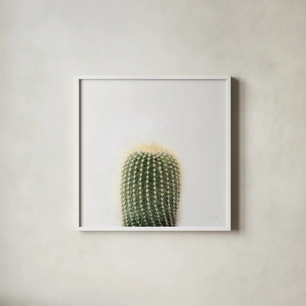 Desert Treasures I by Deborah Revell. Shown in a crisp white glass frame for a clean and minimalist style. Available as an archival giclee rolled canvas, fine art paper, or poster print. SKU 94579a.