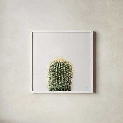 Desert Treasures I by Deborah Revell. Shown in a crisp white glass frame for a clean and minimalist style. Available as an archival giclee rolled canvas, fine art paper, or poster print. SKU 94579a.