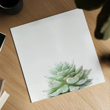 Desert Treasures II by Deborah Revell. Shown as a detailed flat fine art print, highlighting archival giclee quality. Available as an archival giclee rolled canvas, fine art paper, or poster print. SKU 94580a.