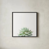 Desert Treasures II by Deborah Revell. Shown in a sleek black glass frame for a contemporary gallery look. Available as an archival giclee rolled canvas, fine art paper, or poster print. SKU 94580a.
