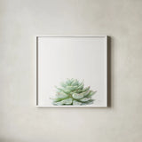 Desert Treasures II by Deborah Revell. Shown in a crisp white glass frame for a clean and minimalist style. Available as an archival giclee rolled canvas, fine art paper, or poster print. SKU 94580a.
