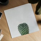 Desert Treasures IV by Deborah Revell. Shown as a detailed flat fine art print, highlighting archival giclee quality. Available as an archival giclee rolled canvas, fine art paper, or poster print. SKU 94582a.