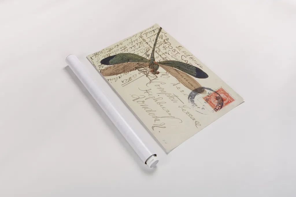 Dragonfly Postcard I by Deborah Revell. shown as a rolled paper print. Available as archival giclee rolled canvas, fine art paper, or poster print. SKU 91114i.