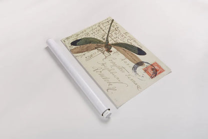 Dragonfly Postcard I by Deborah Revell. shown as a rolled paper print. Available as archival giclee rolled canvas, fine art paper, or poster print. SKU 91114i.