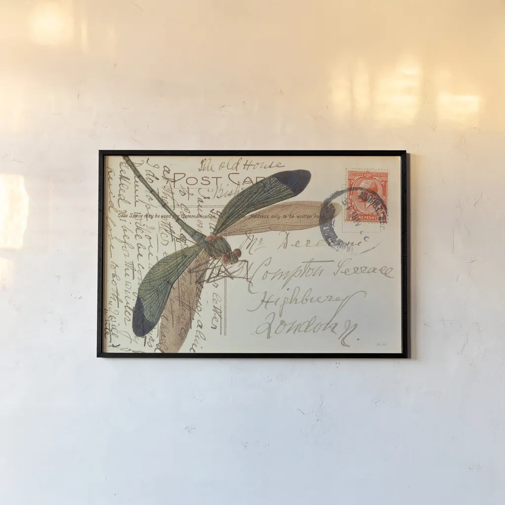 Dragonfly Postcard I by Deborah Revell. shown as a paper print in a black flame. Available as a archival giclee rolled canvas, fine art paper, or poster print. SKU 91114i.