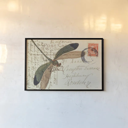 Dragonfly Postcard I by Deborah Revell. shown as a paper print in a black flame. Available as a archival giclee rolled canvas, fine art paper, or poster print. SKU 91114i.