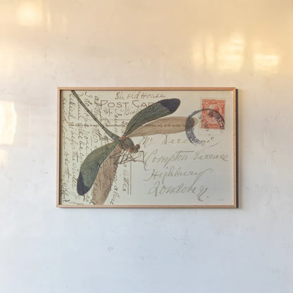 Dragonfly Postcard I by Deborah Revell. shown as a paper print in a natural frame. Available as a archival giclee rolled canvas, fine art paper, or poster print. SKU 91114i.