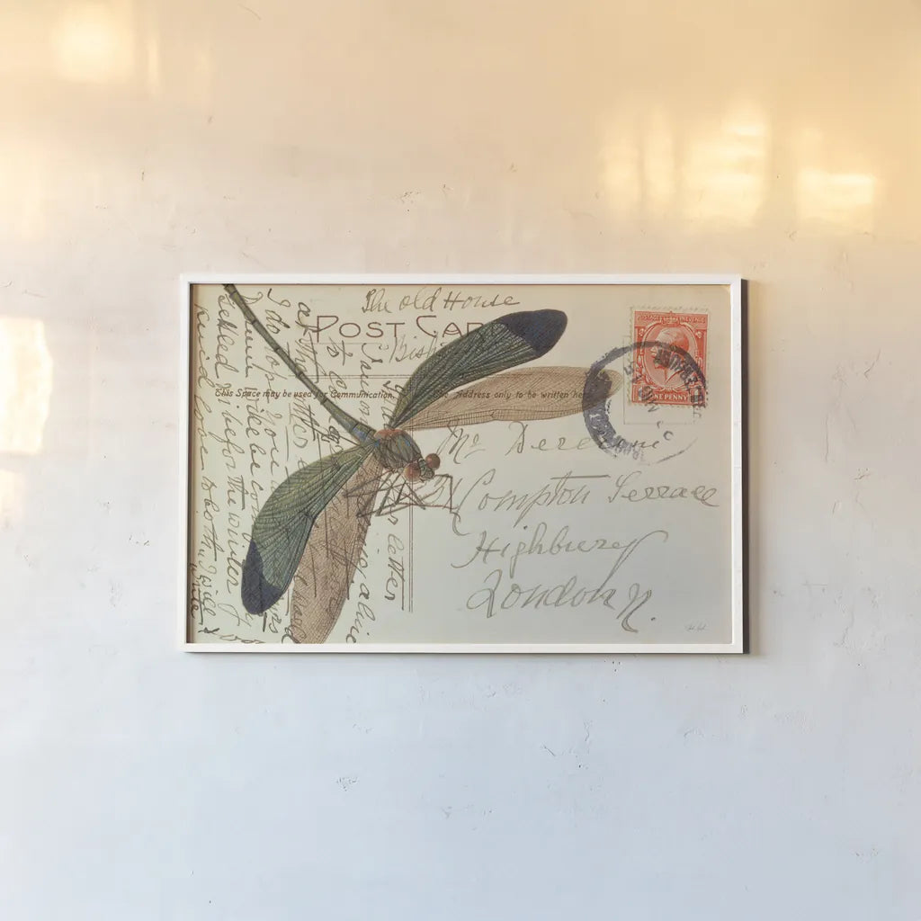 Dragonfly Postcard I by Deborah Revell. shown as a paper print in a white frame. Available as a archival giclee rolled canvas, fine art paper, or poster print. SKU 91114i.