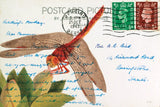 Dragonfly Postcard II by Deborah Revell. SKU 91115i. Archival Giclee Fine art print for wall decor.