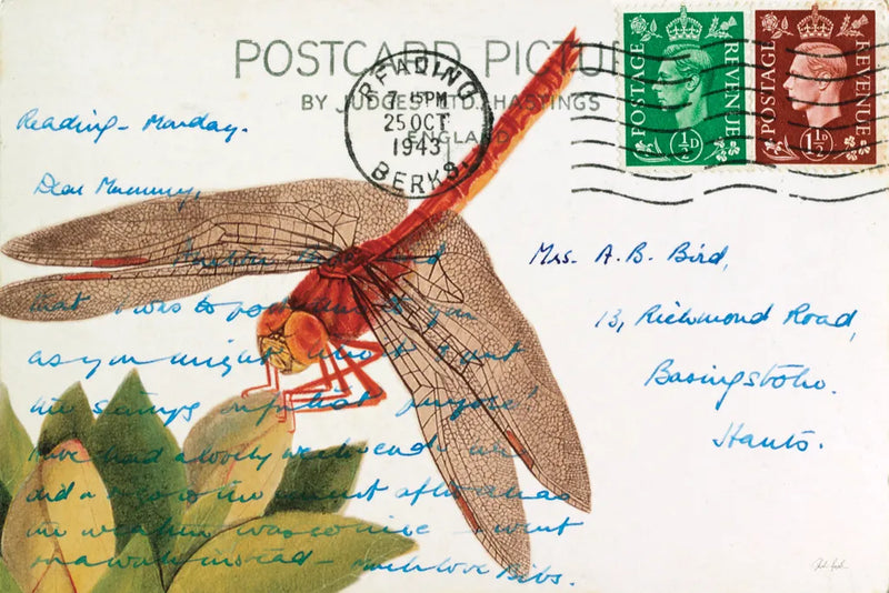 Dragonfly Postcard II by Deborah Revell. SKU 91115i. Archival Giclee Fine art print for wall decor.