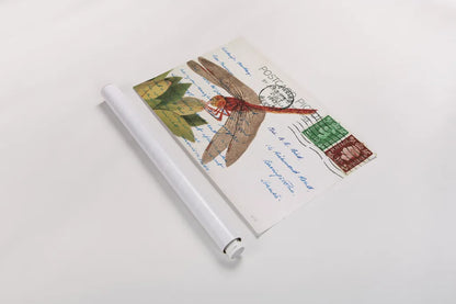 Dragonfly Postcard II by Deborah Revell. shown as a rolled paper print. Available as archival giclee rolled canvas, fine art paper, or poster print. SKU 91115i.